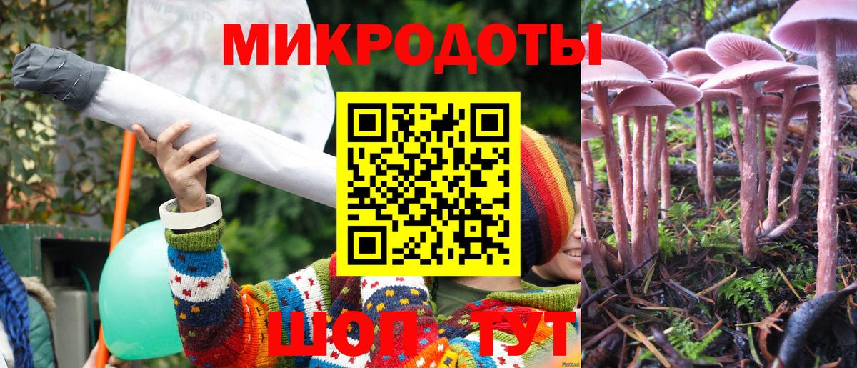 Дальнереченск  Галлюциногенные грибы Psilocybine cubensis  Вход с VPN 